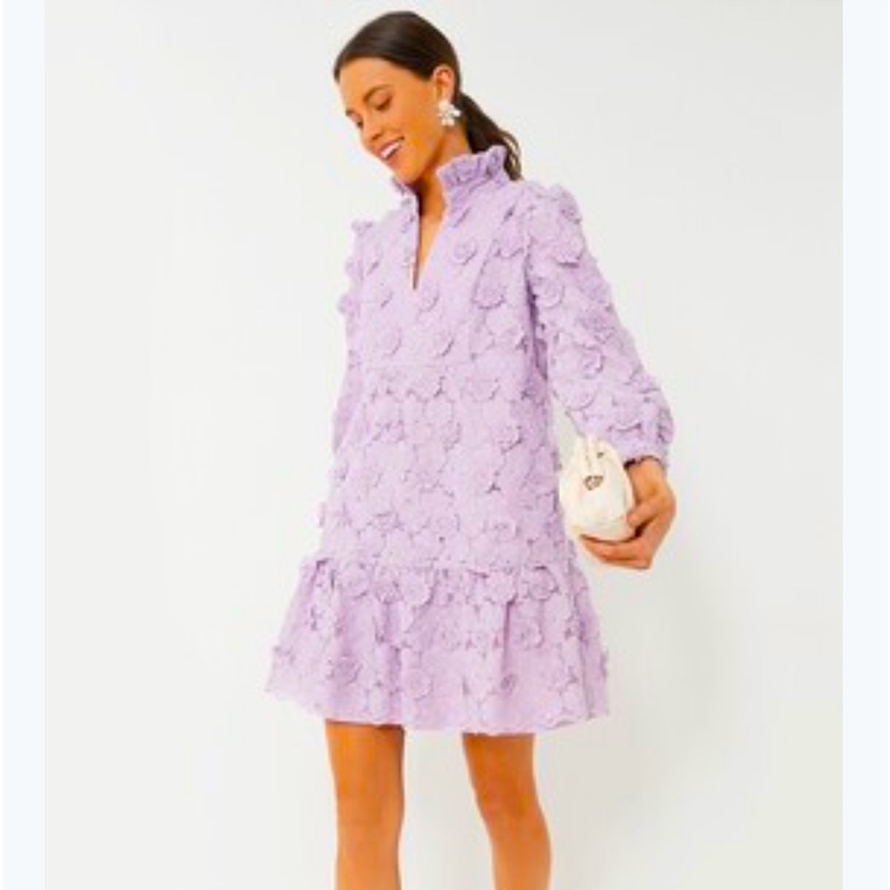 Tuckernuck Palmerston Dress